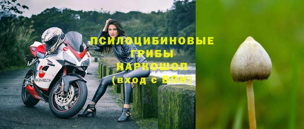 гидропоника Балахна