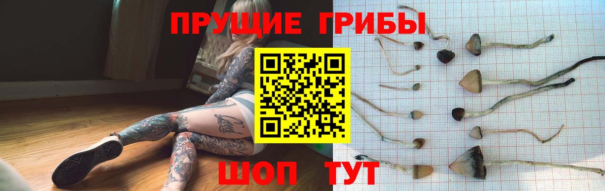 Галлюциногенные грибы Cubensis Заречный